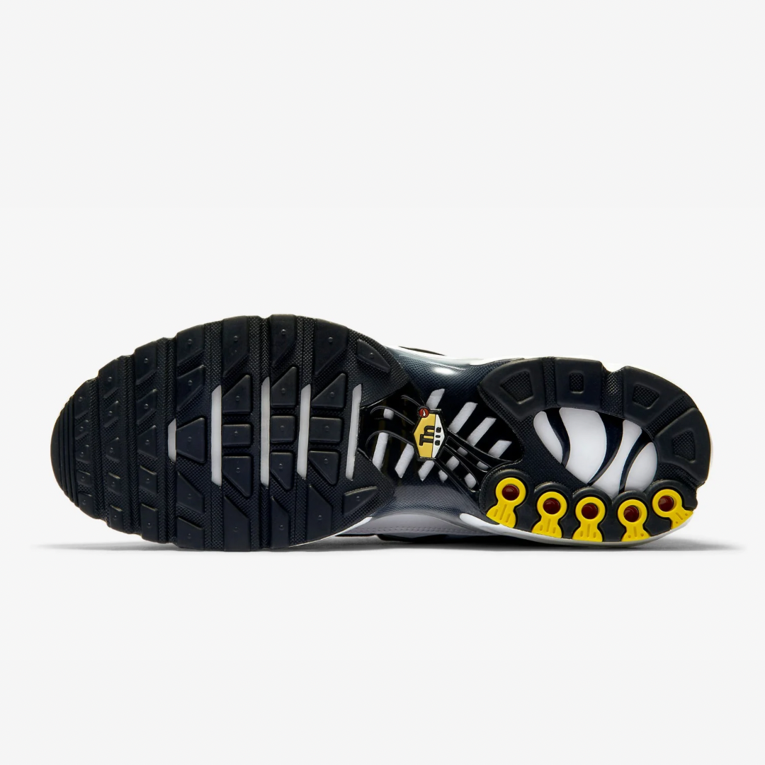 NK AIR MAX PLUS TN KILLER WHALE